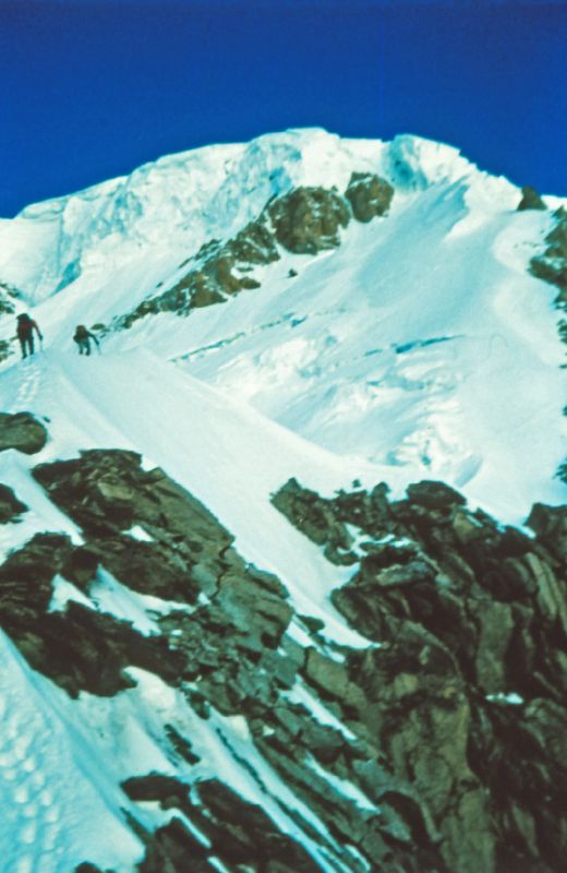Mont Blanc (378 Bildaufrufe)