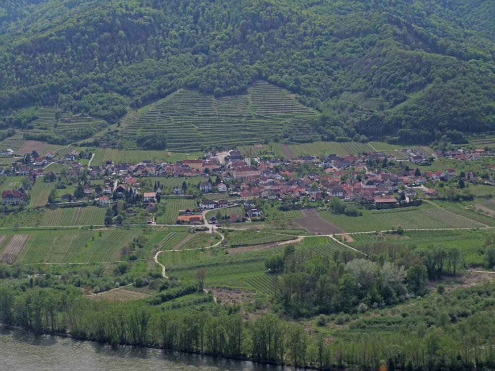 Schlossberg (229 Bildaufrufe)