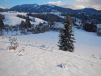Hochstadelberg (115 Bildaufrufe)