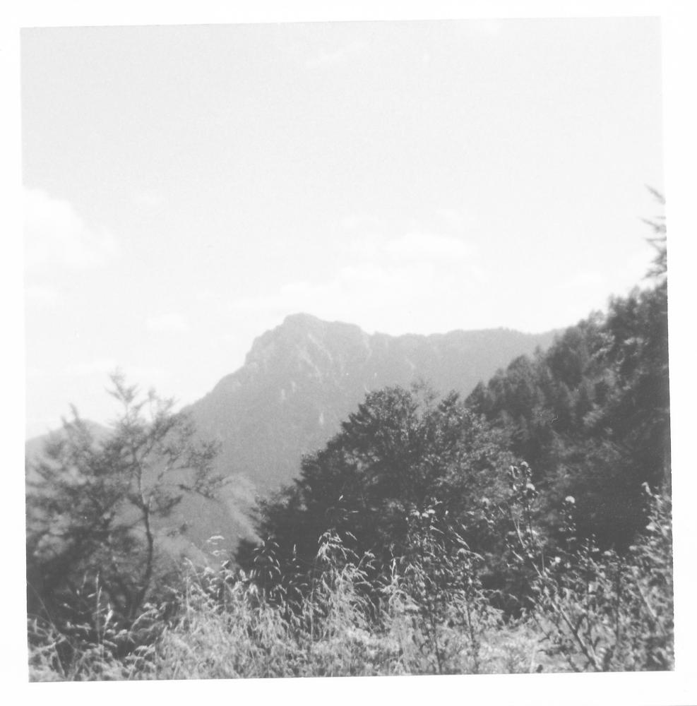 Göller (309 Bildaufrufe)