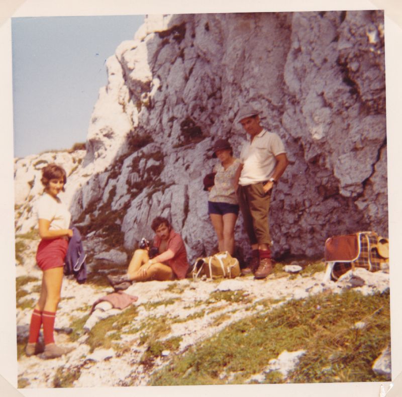 Gr.Ötscher, Feldwiesalm (605 Bildaufrufe)