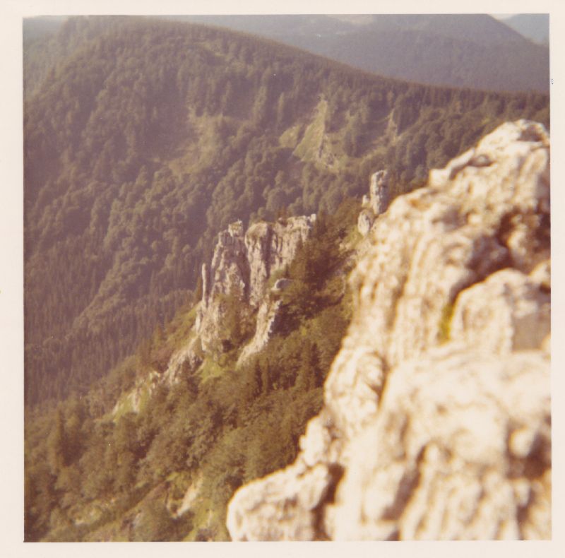 Gr.Ötscher, Feldwiesalm (433 Bildaufrufe)