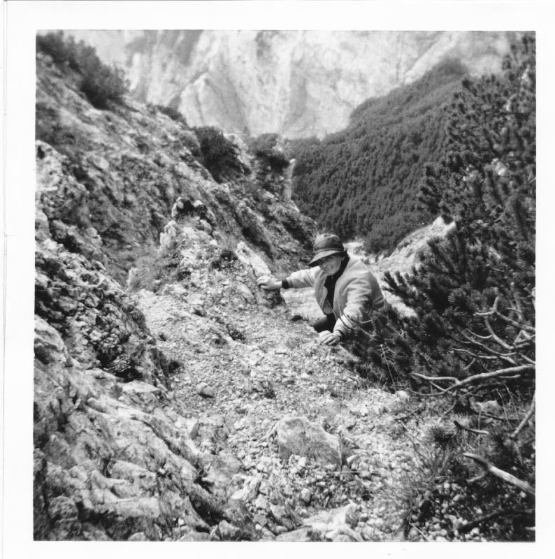 Gr.Buchstein (274 Bildaufrufe)