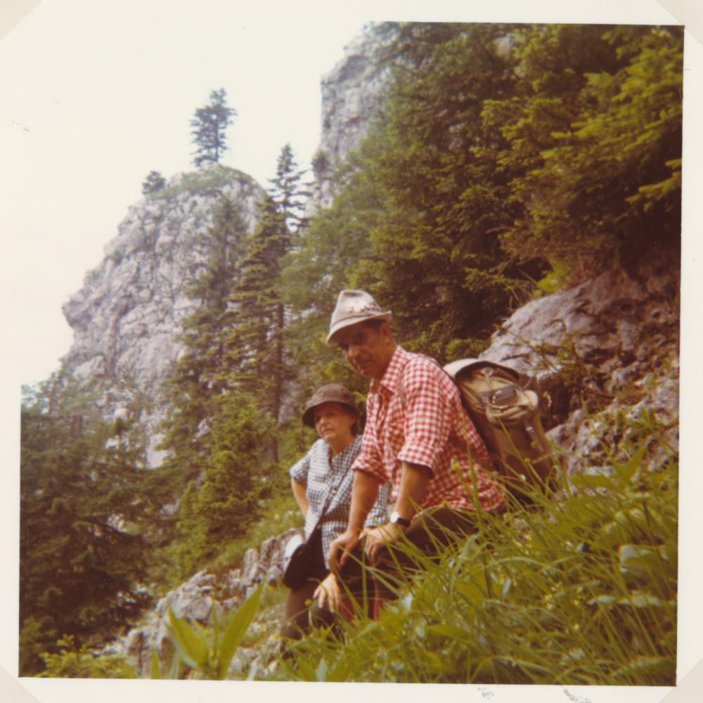 Dürrenstein (431 Bildaufrufe)