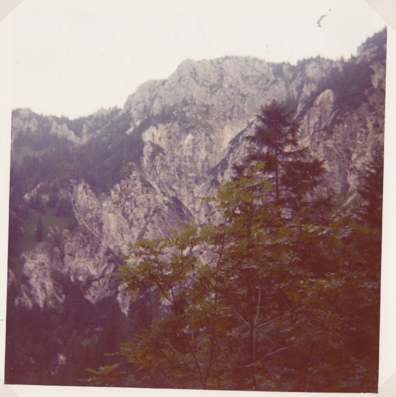 Hirzeck, Dürrenstein (446 Bildaufrufe)