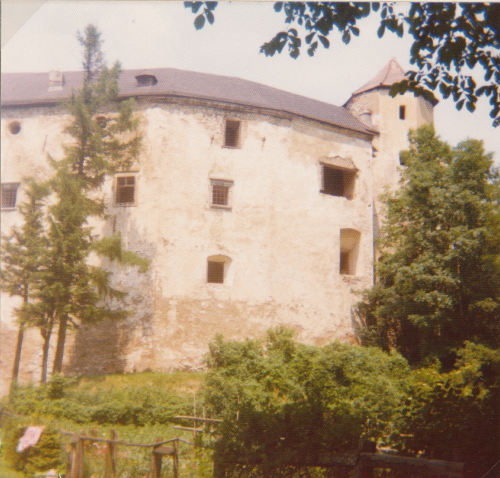 Ruine Aggstein, Plankenstein, Gemeindealpe (749 Bildaufrufe)