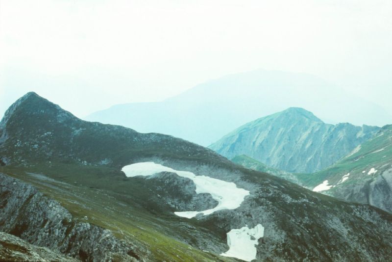Sparafeld (288 Bildaufrufe)