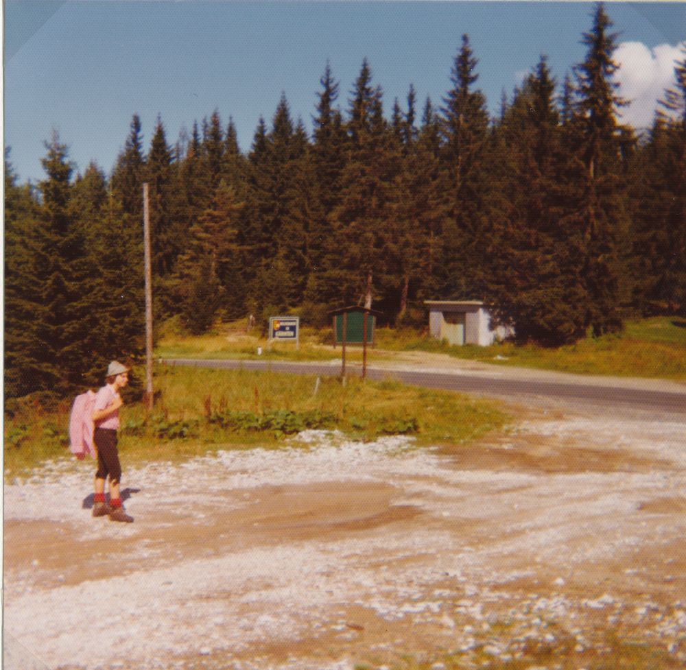 Voistalerhütte, Hochschwab, Eisenerzer Reichenstein, Mugl, Speikkogel, Turneralpe, Hirscheggeralpe, Gr.Speikkogel, Eibiswald (361 Bildaufrufe)