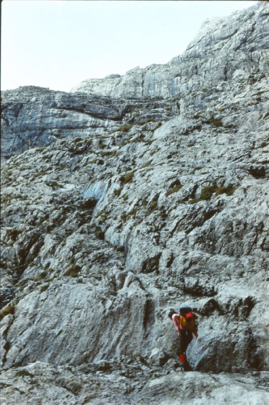 Planspitze (329 Bildaufrufe)