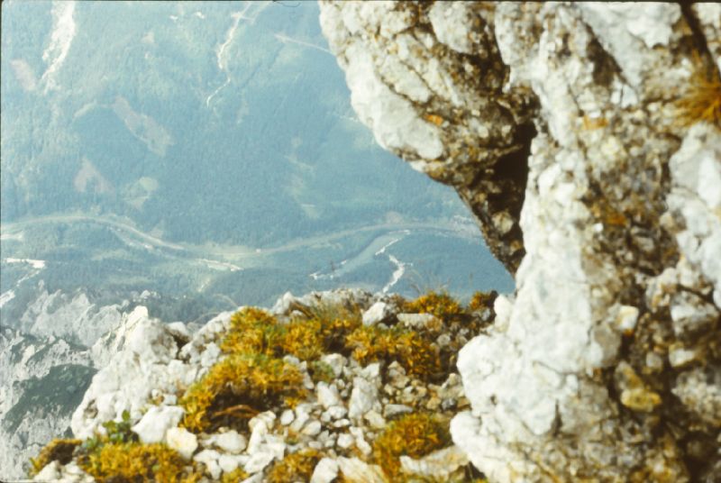 Planspitze (288 Bildaufrufe)
