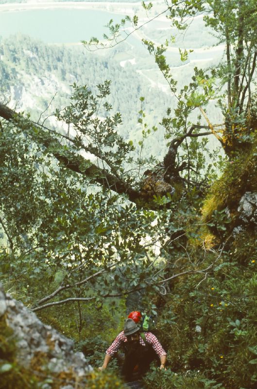 Zinödl, Hochtor (276 Bildaufrufe)
