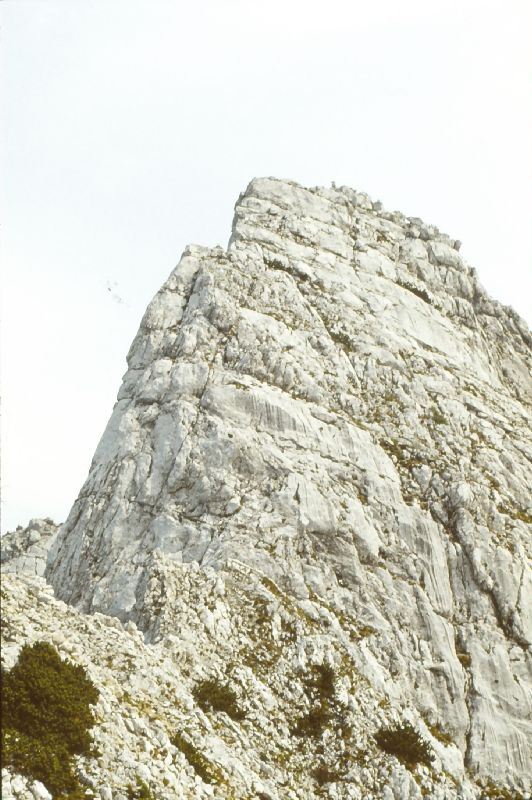 Zinödl, Hochtor (233 Bildaufrufe)