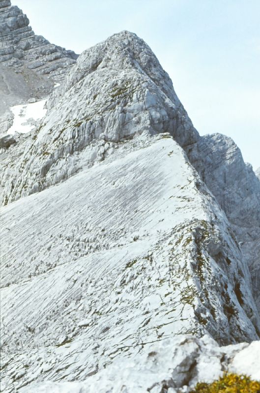 Zinödl, Hochtor (269 Bildaufrufe)
