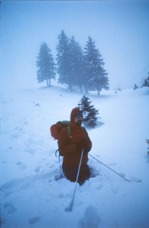 Ybbstalerhütte (218 Bildaufrufe)