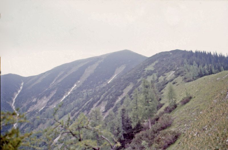 Göller (226 Bildaufrufe)