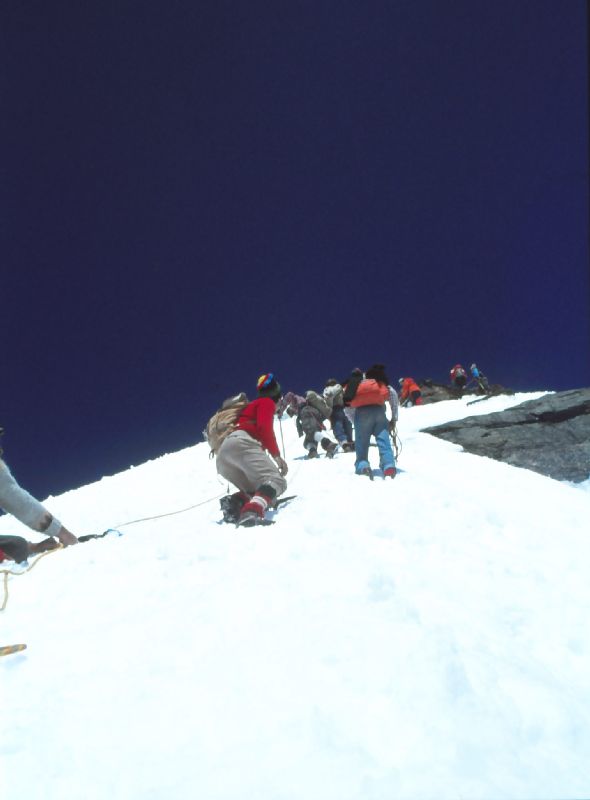 Großglockner (384 Bildaufrufe)