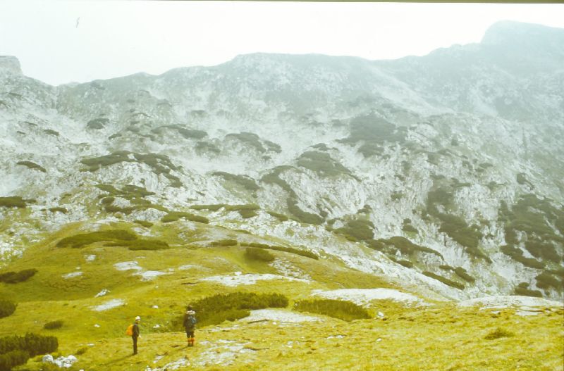 Hochkogel (332 Bildaufrufe)