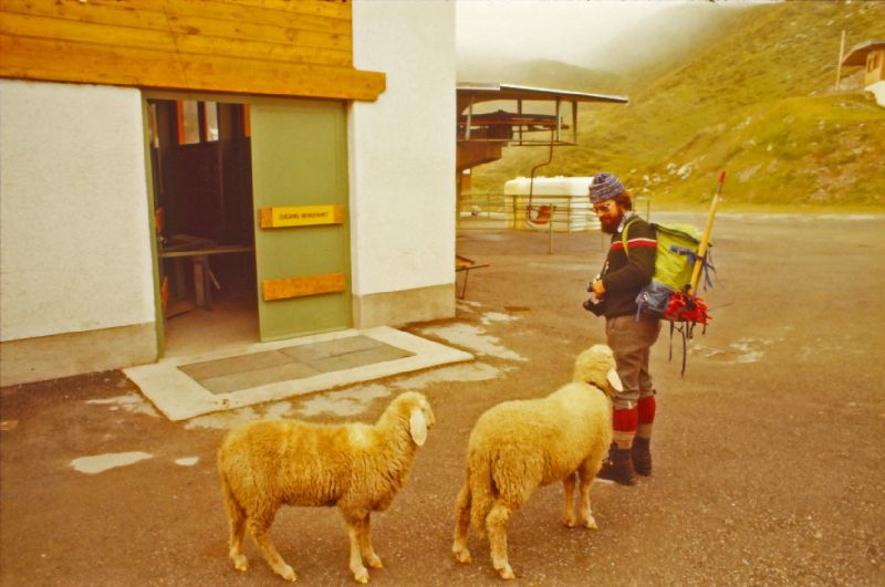 Gefrorene Wandspitze (204 Bildaufrufe)