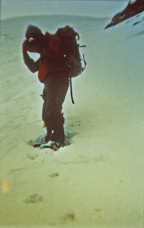 Gefrorene Wandspitze (299 Bildaufrufe)