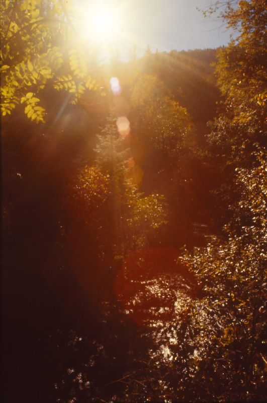 Trefflingfall (230 Bildaufrufe)
