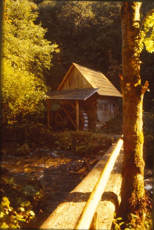 Trefflingfall (232 Bildaufrufe)