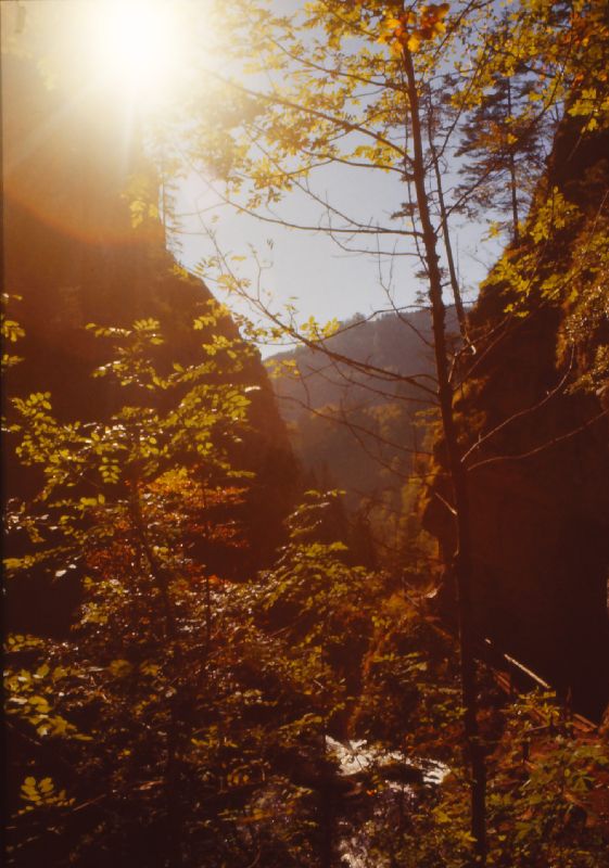 Trefflingfall (280 Bildaufrufe)