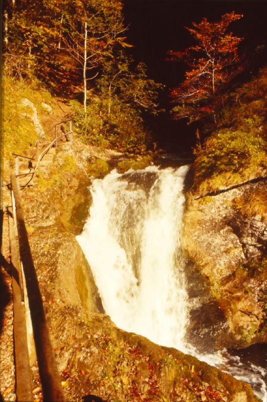 Trefflingfall (235 Bildaufrufe)