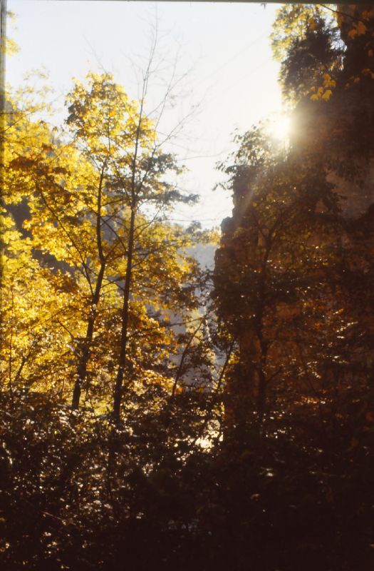 Trefflingfall (241 Bildaufrufe)
