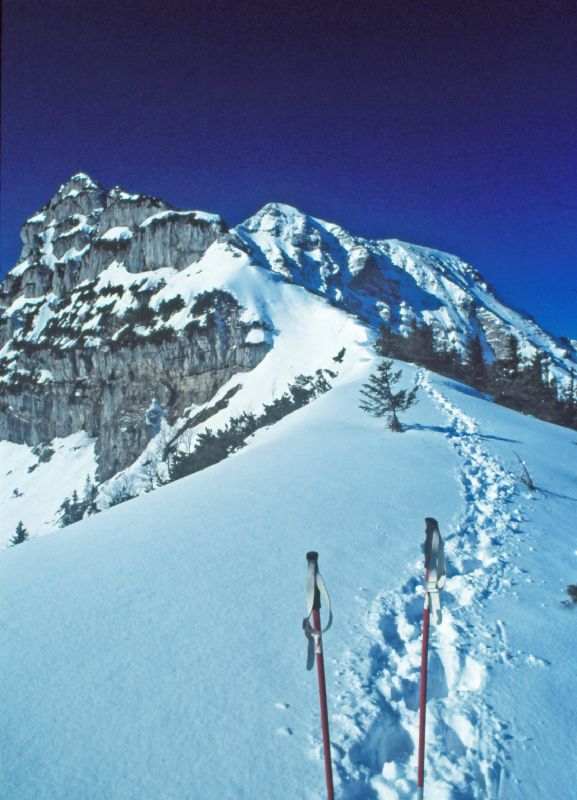 Gr.Ötscher (239 Bildaufrufe)