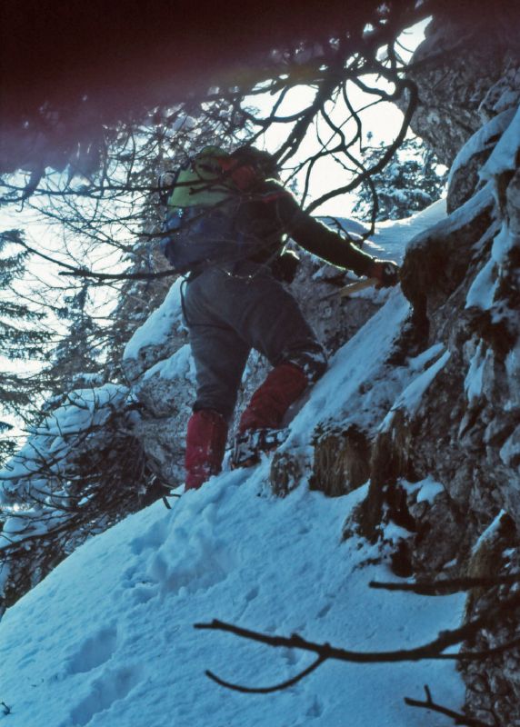 Gippel (292 Bildaufrufe)