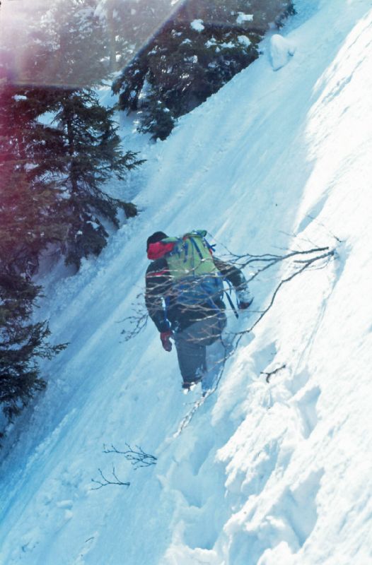 Gippel (353 Bildaufrufe)