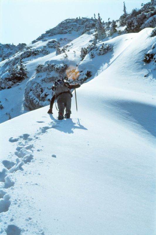 Gippel (288 Bildaufrufe)