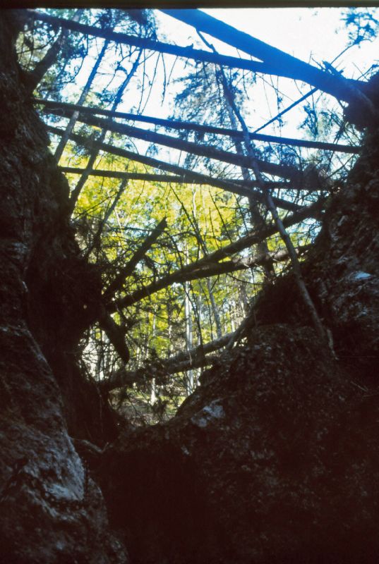 Schneeberg (218 Bildaufrufe)