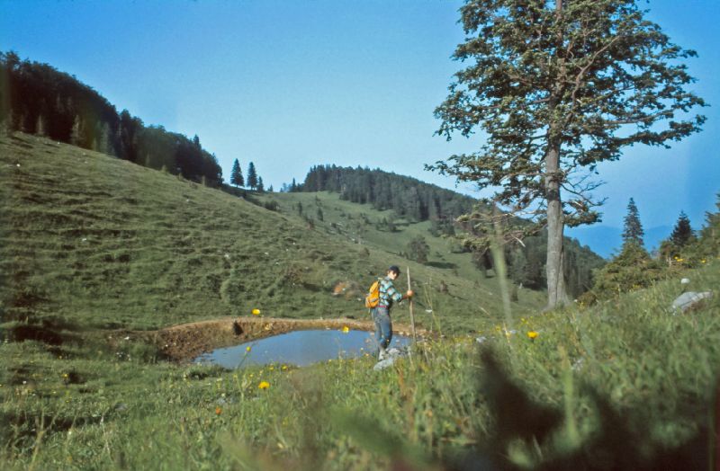 Tirolerkogel (330 Bildaufrufe)