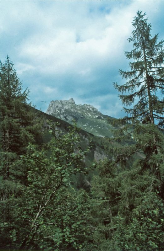 TAC-Spitz (292 Bildaufrufe)