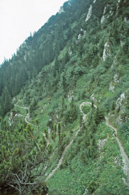 Gippel (273 Bildaufrufe)