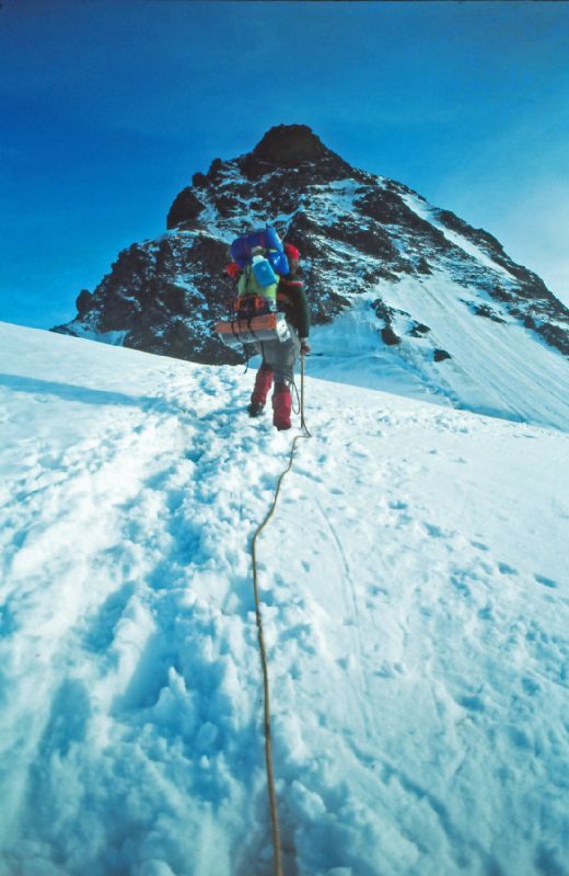 Gr.Piz Buin, Silvretta-Egghorn (236 Bildaufrufe)