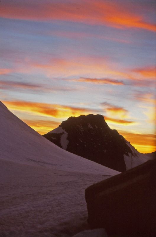 Gr.Piz Buin, Silvretta-Egghorn (274 Bildaufrufe)