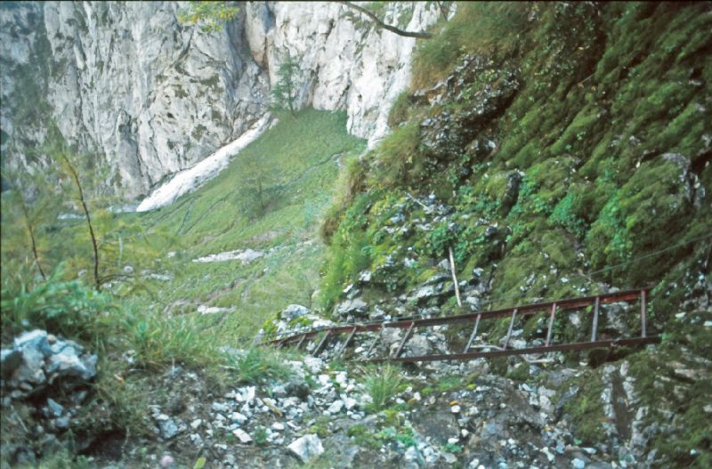 Heukuppe (246 Bildaufrufe)