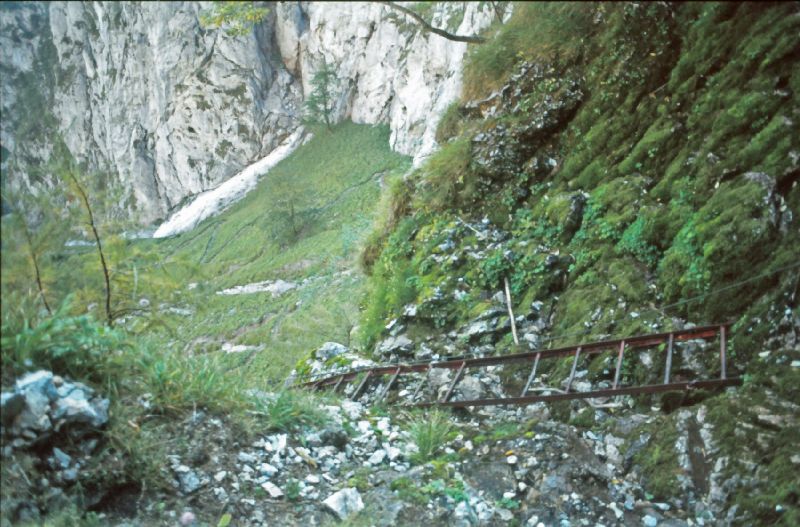 Heukuppe (234 Bildaufrufe)