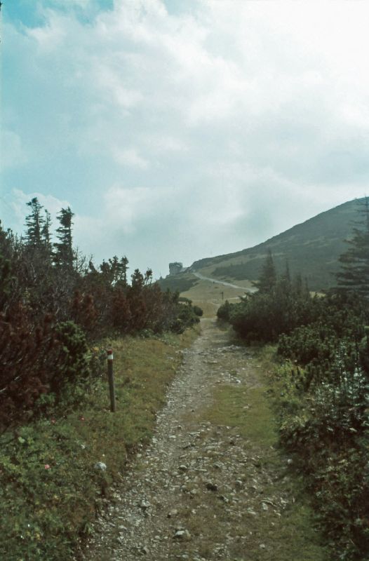 Heukuppe (295 Bildaufrufe)