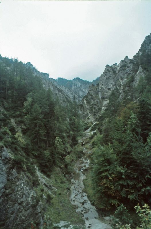 Erlaufmauer (363 Bildaufrufe)