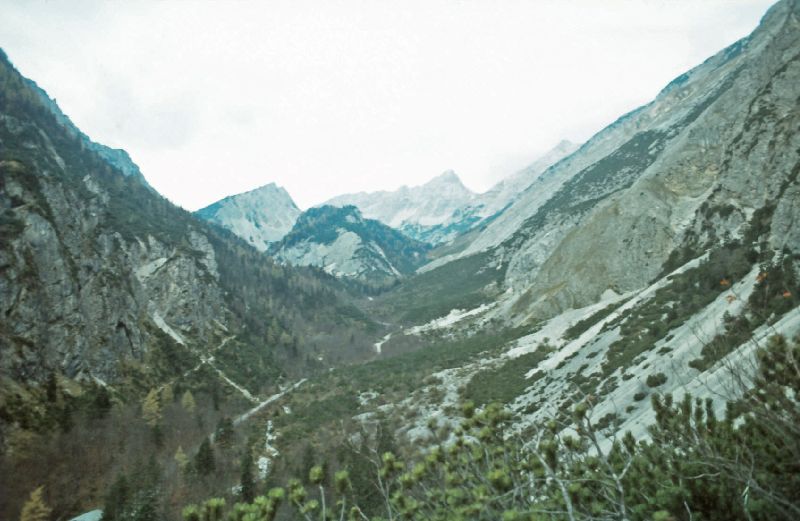 Gr.Bettelwurf (267 Bildaufrufe)