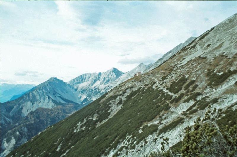 Gr.Bettelwurf (272 Bildaufrufe)