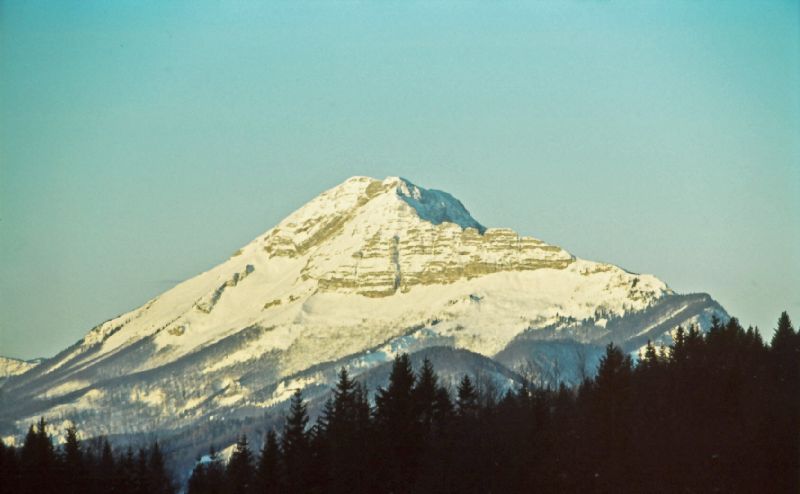 Gr.Ötscher (262 Bildaufrufe)