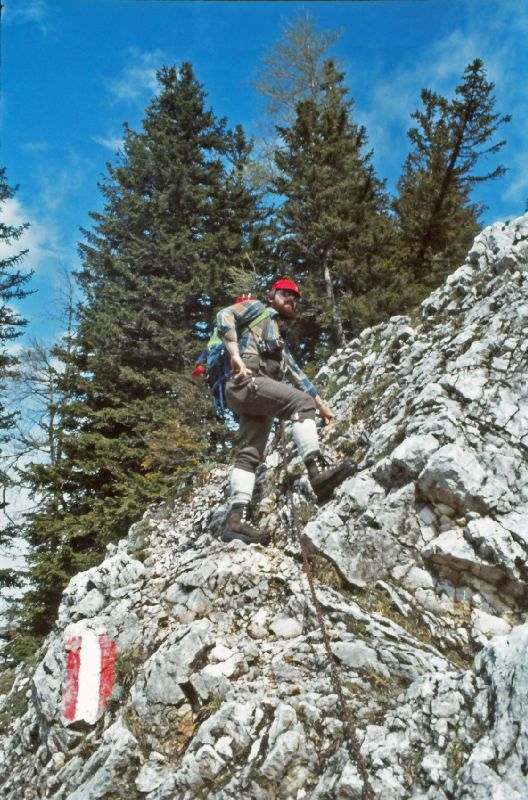 Gr.Pyhrgas, Festkogel (276 Bildaufrufe)