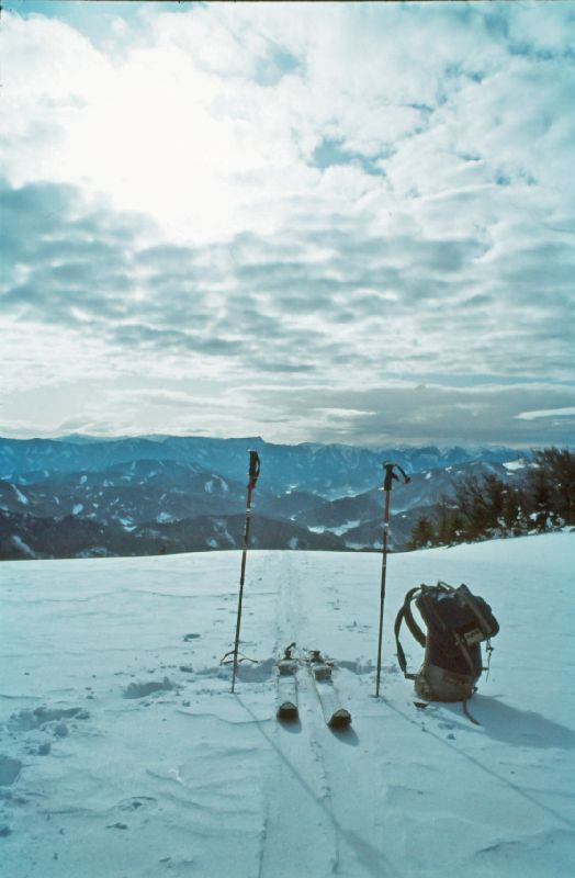 Reisalpe (287 Bildaufrufe)