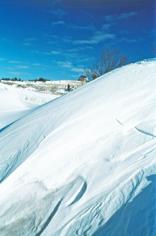 Reisalpe (378 Bildaufrufe)