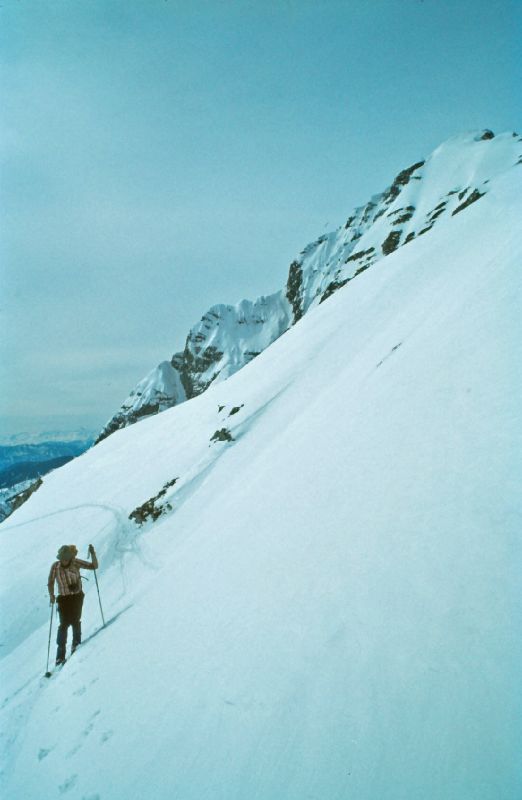 Scheiblingstein, Stadelfeldschneid (213 Bildaufrufe)