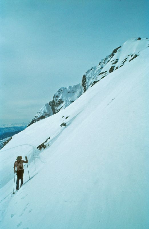 Scheiblingstein, Stadelfeldschneid (181 Bildaufrufe)